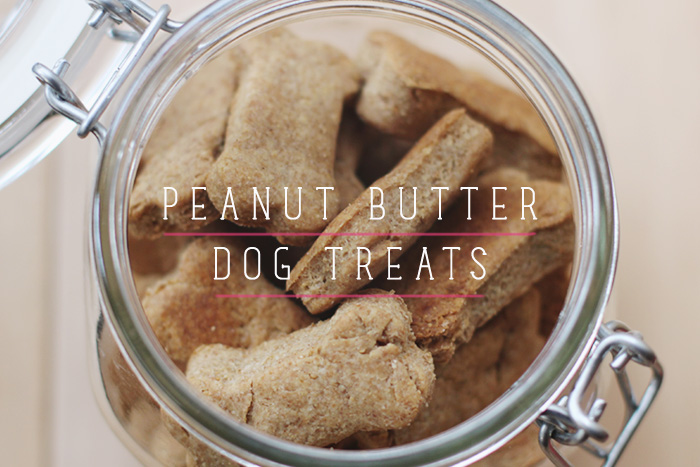 Recipe // Dog Peanut Butter Treats