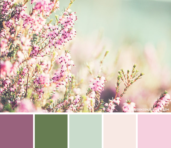 Color Palette // Purple Field