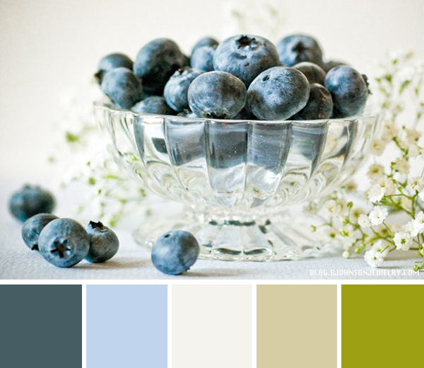 Color Palette – Blueberries