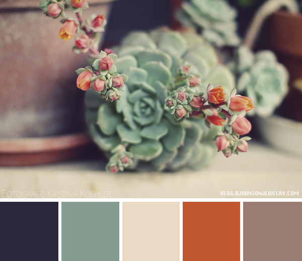 Color Palette – Blooming Cactus