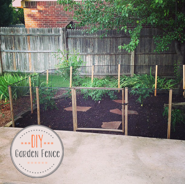 diy vegetable garden fence