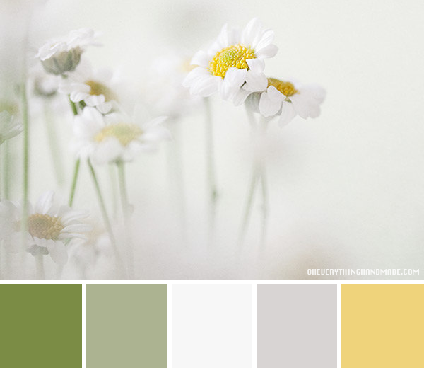 Color Palette // Daisies Secret Garden