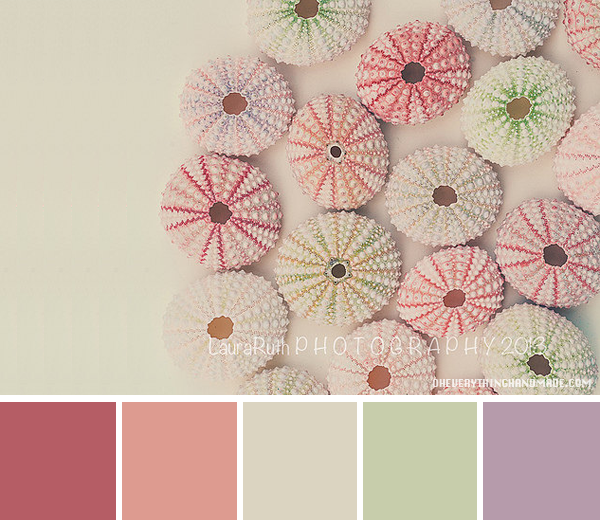 Color Palette // Sea Urchin