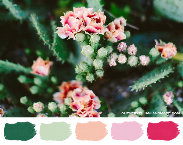 Color Palette // Blooming Cactus
