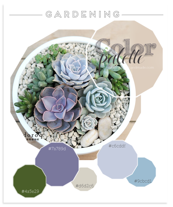 Color Palette // Gardening Succulent