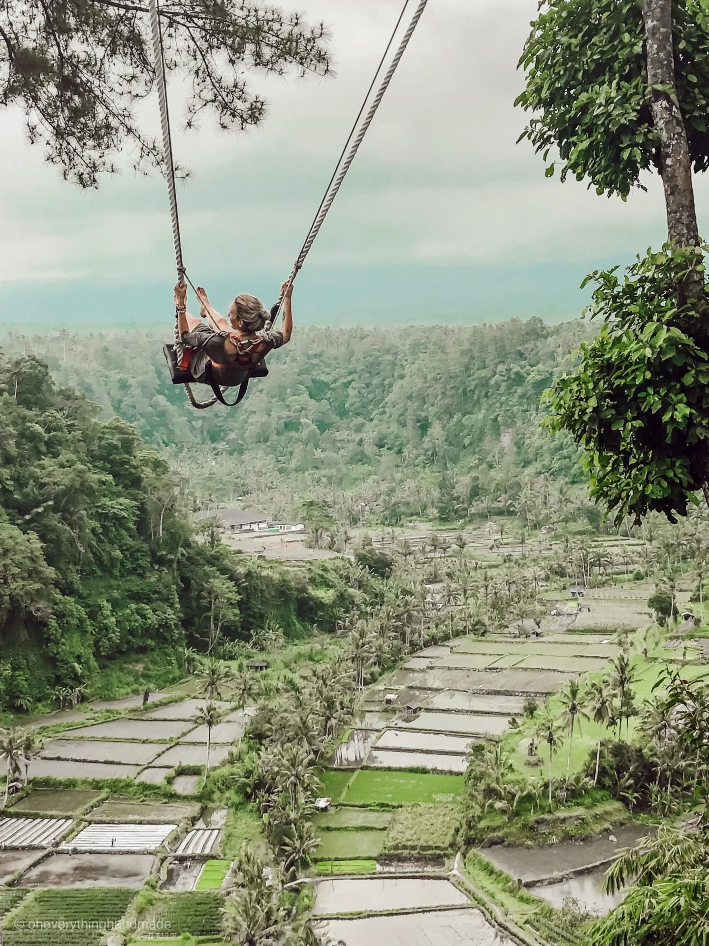 Rice field swing