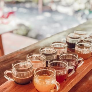Luwak Coffee Tasting Bali